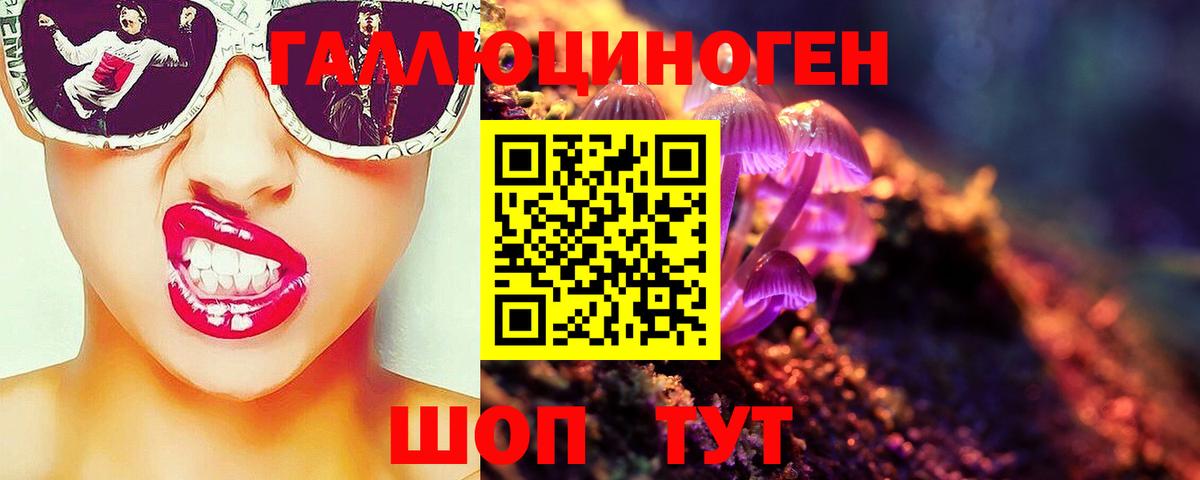 Псилоцибиновые грибы Psilocybe Тутаев